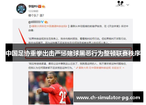 中国足协重拳出击严惩赌球黑恶行为整顿联赛秩序